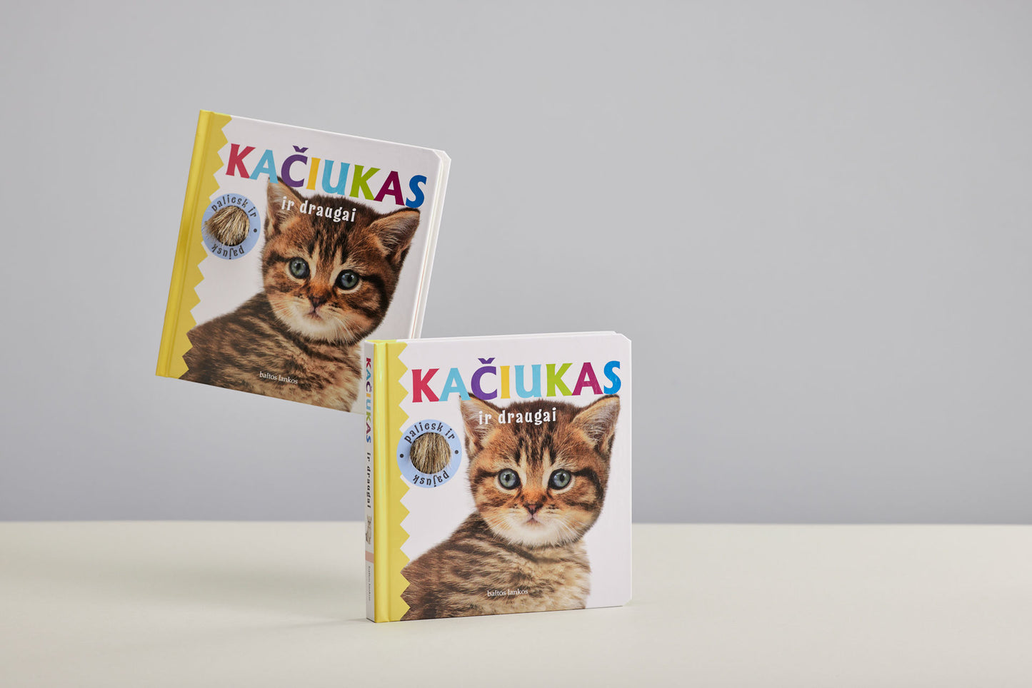 Kačiukas ir draugai