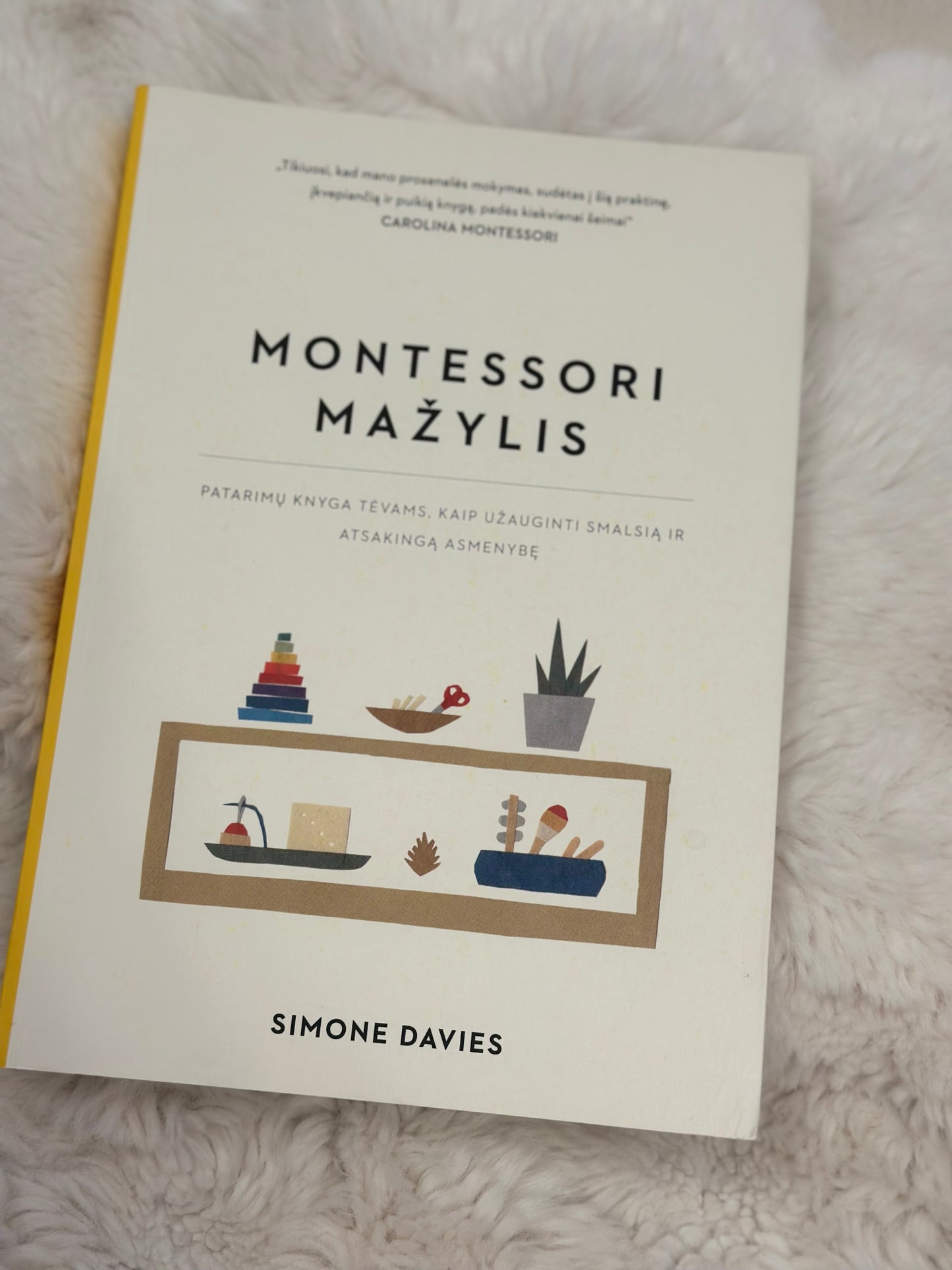 Montessori mažylis. Patarimų knyga tėvams, kaip užauginti smalsią ir atsakingą asmenybę