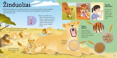 Nuostabieji gyvūnai. Lipdukai-dėlionės-užduotys