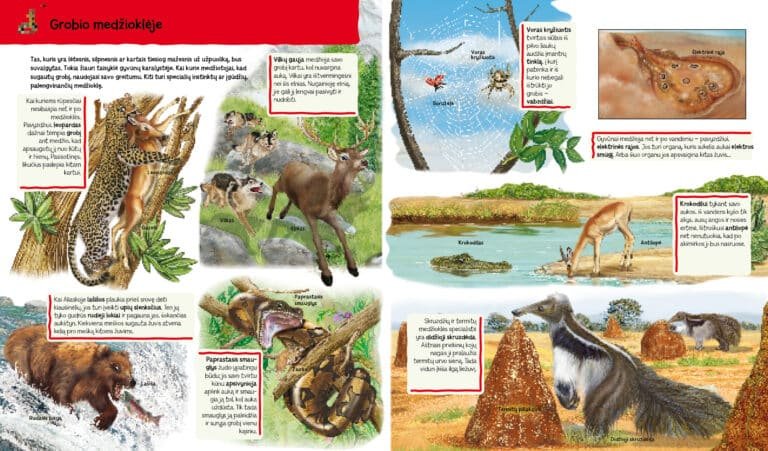 Pasaulio gyvūnai. Vaikų žinių šaltinis