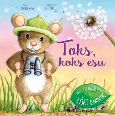 Amžina meilė + Tai ne aš + Toks, koks esu