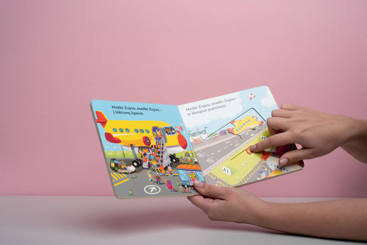 Meškis Zujus, lėktuvo pilotas