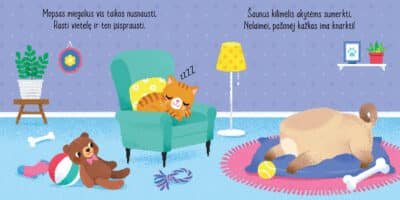 Miegalius mopsas. Su žaisliuku ant piršto