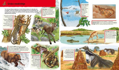 Pasaulio gyvūnai. Vaikų žinių šaltinis
