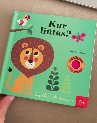 Kur liūtas?