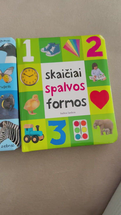 Pirmieji 100 žodžių
