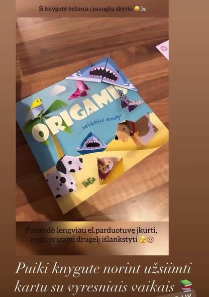 Origamis 1. Netikėtai smagu